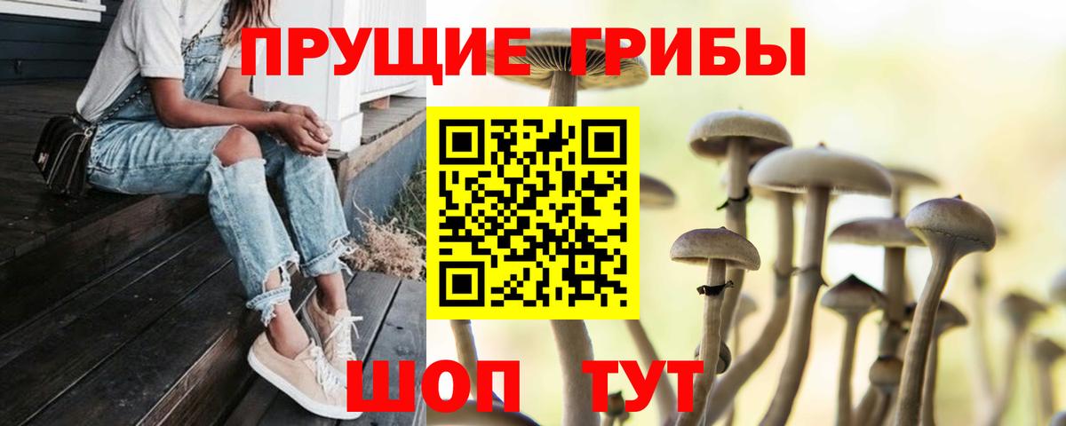 Белово  Галлюциногенные грибы Magic Shrooms  Вход с VPN 